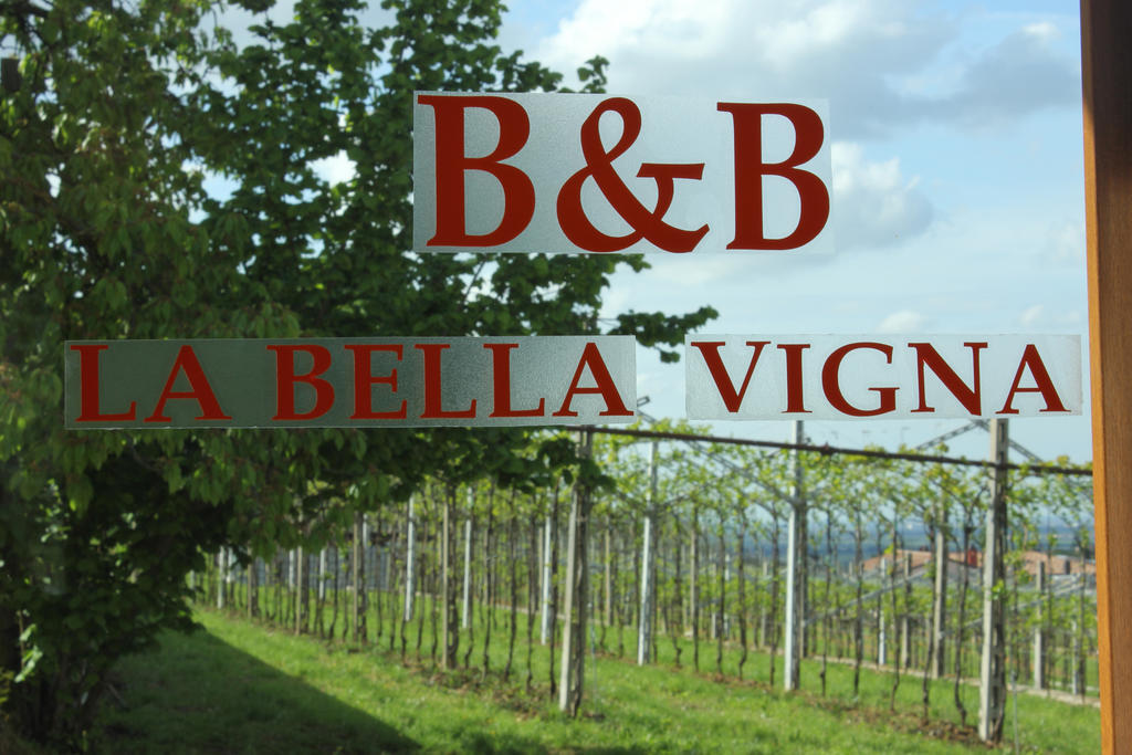 La Bella Vigna Bed & Breakfast Marano di Valpolicella Exterior photo